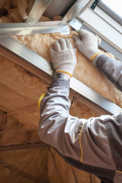 Best Soundproof Insulation Installation  in Scott City, MO