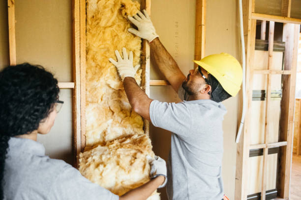 Best Insulation Replacement Services  in Scott City, MO