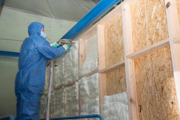 Best Insulation Removal  in Scott City, MO