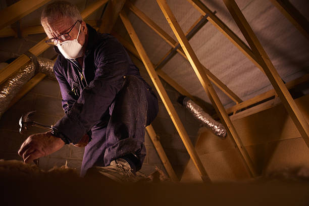 Best Home Insulation Services  in Scott City, MO