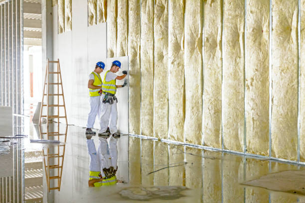 Best Local Insulation Services  in Scott City, MO